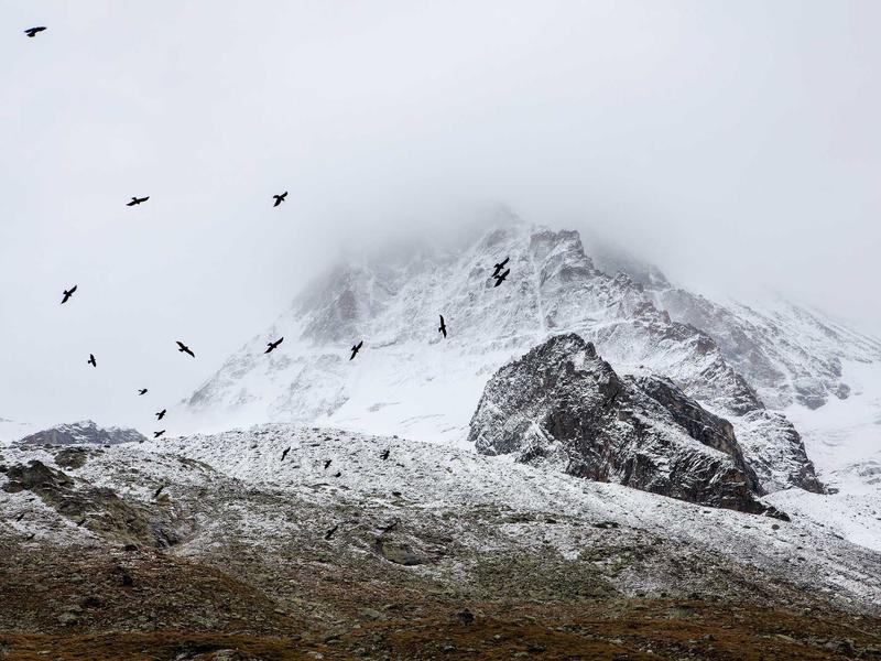 sudoku lifetime access screenshot 1